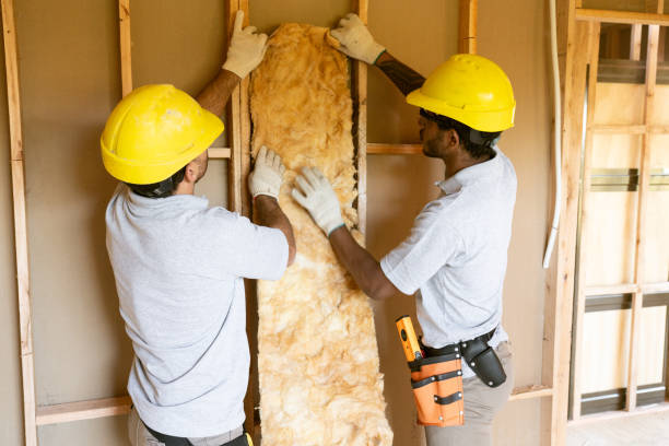 Types of Insulation We Offer in Buffalo, SC